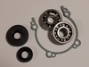 Engine Lower End Rebuild Kit